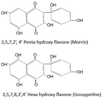 Appendix 1: Chemical properties of natural impurities present in cotton