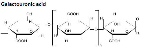 galactouronic-acid